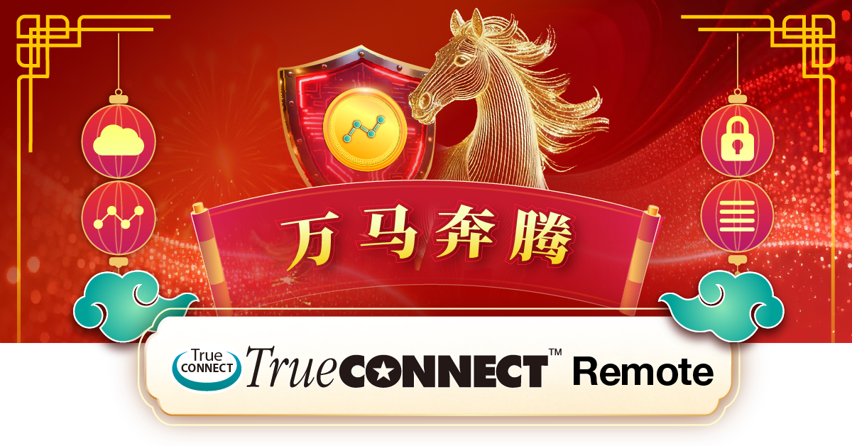 TrueCONNECT Remote 安全远程存取方案优惠